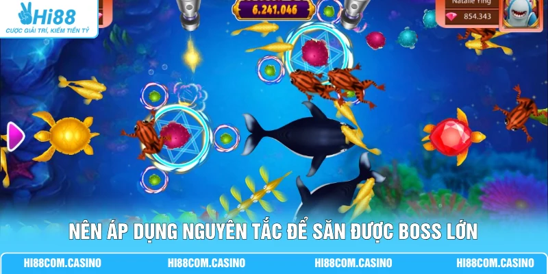 Thám Hiểm Long Cung - Săn Boss 50.000 Xu Qua 5 Vùng Biển 3 Nên áp dụng nguyên tắc để săn được boss lớn