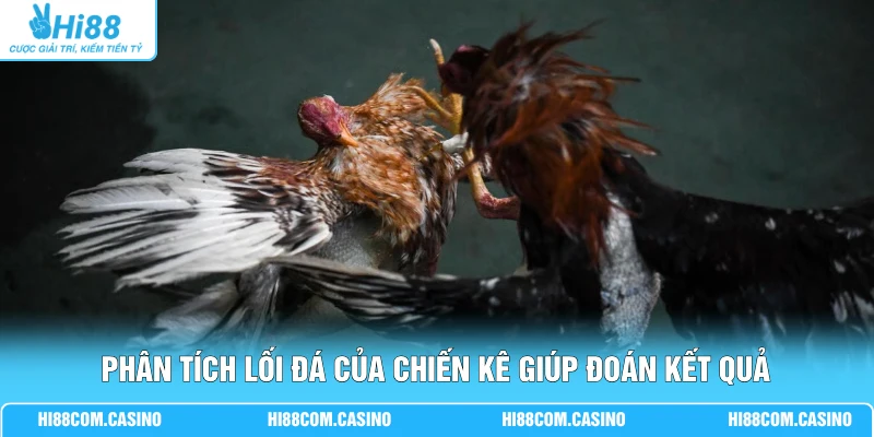Đá Gà Bàn Bida - Quy Định Luật Chơi Mới Nhất Tại Hi88 3 Phân tích lối đá của chiến kê giúp đoán kết quả