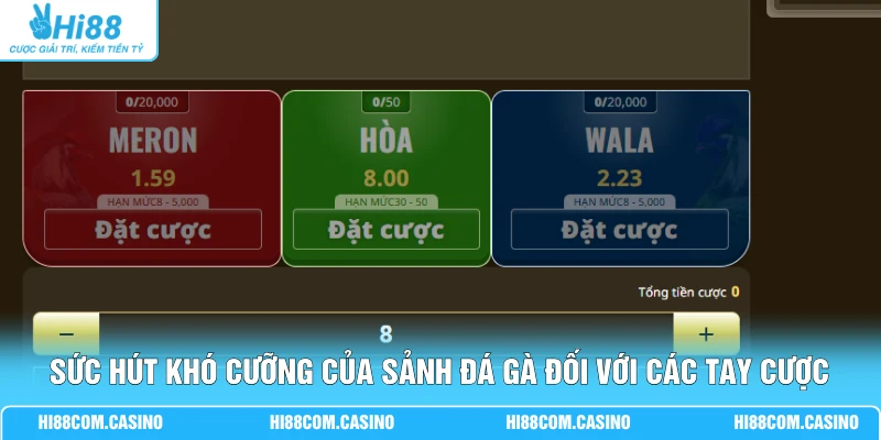 Sảnh Đá Gà - Khám Phá 4 Đấu Trường Chọi Kê Kịch Tính 1 Sức hút khó cưỡng của sảnh đá gà đối với các tay cược