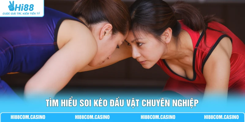 Cá Cược Đấu Vật - 3 Phút Thắng Đậm Nhận Về Thưởng Lớn 1 Tìm hiểu soi kèo đấu vật chuyên nghiệp