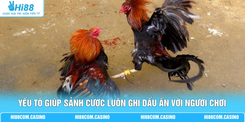 AOG Đá Gà Hi88 - Cuốn Hút Hàng Vạn Thành Viên Theo Dõi 3 Yếu tố giúp sảnh cược luôn ghi dấu ấn với người chơi